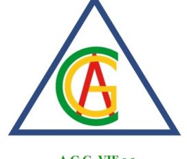 Assurances Générales du Congo Vie (AGC-VIE)