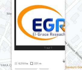 El-grace Research group