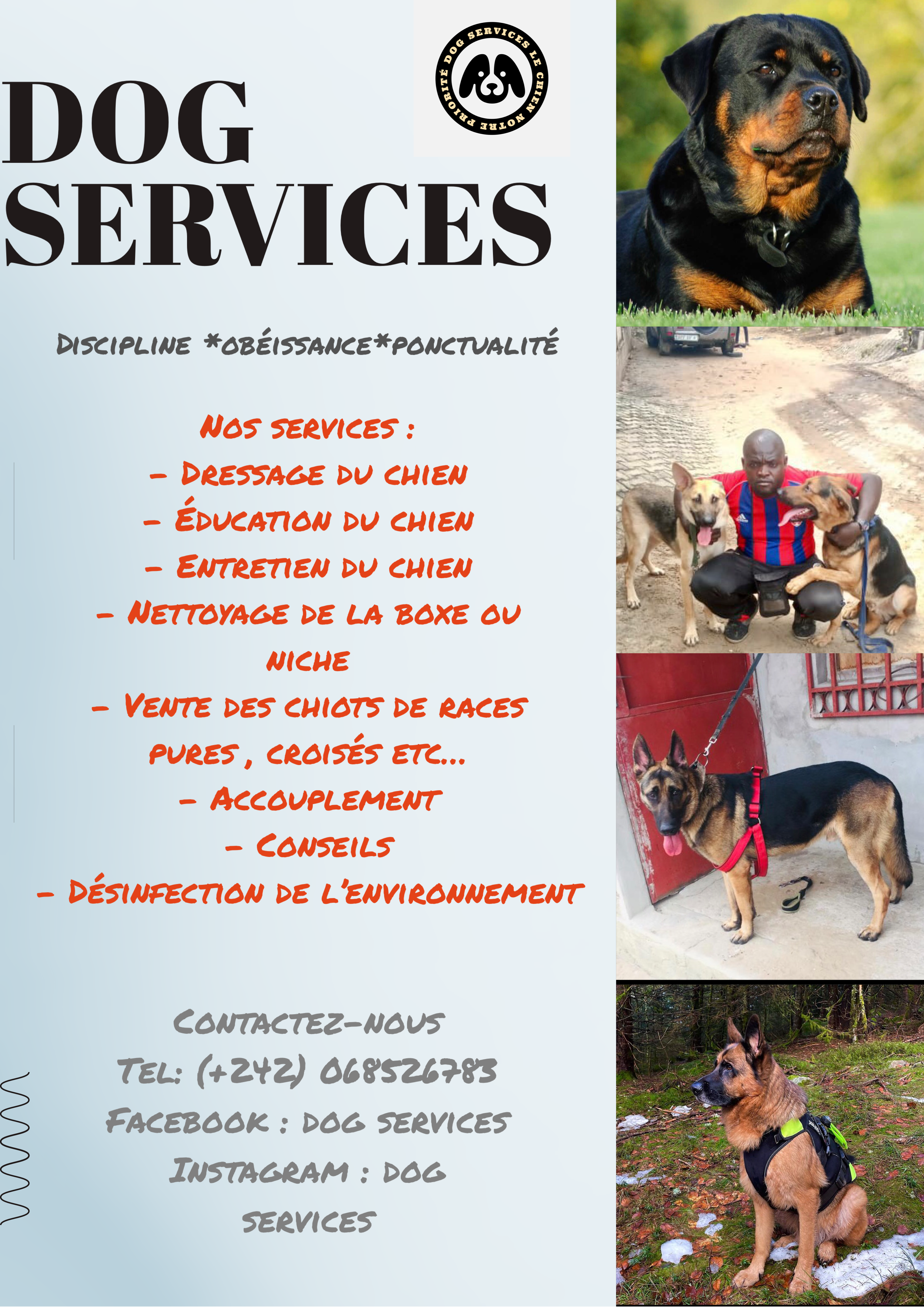 Dog services